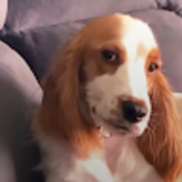 Meet your Posher, Estefany - Picture 1 of 1